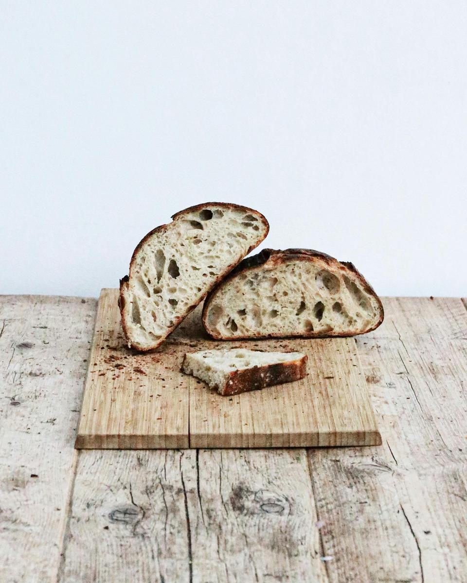 sourdough starter